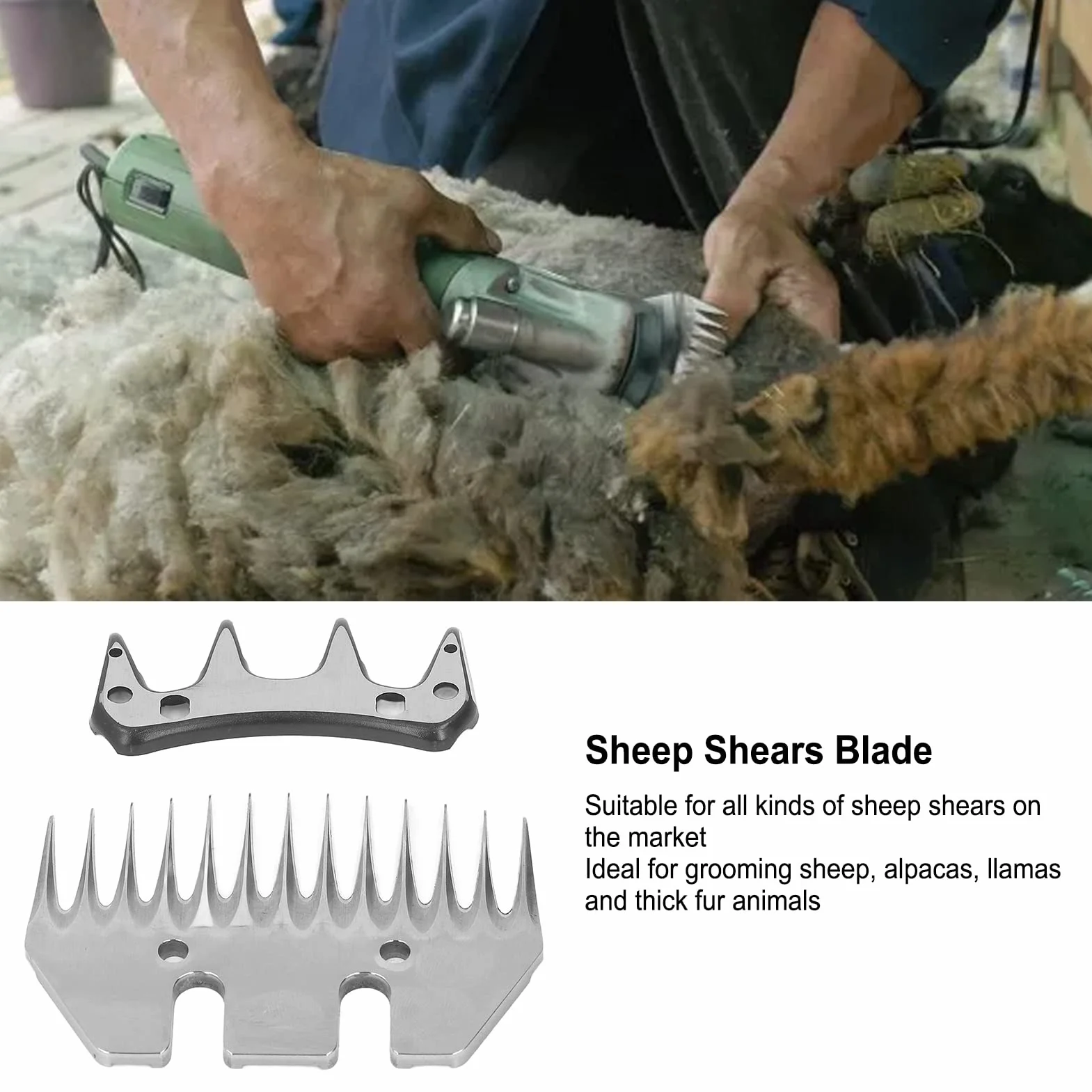 Lama di Ricambio per Cesoie per Pecore, Taglierina Professionale Dritta a 13 Denti