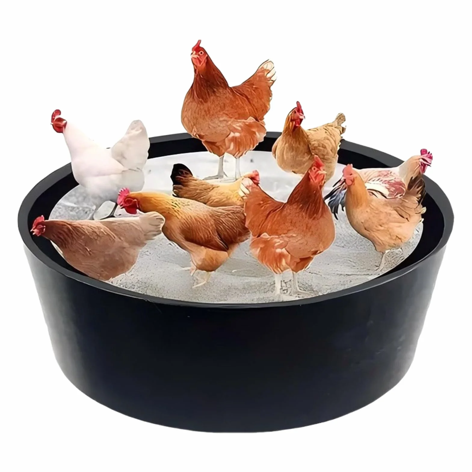 Bagno di Polvere per Galline Pollaio Regolabile 63Cm Pollame