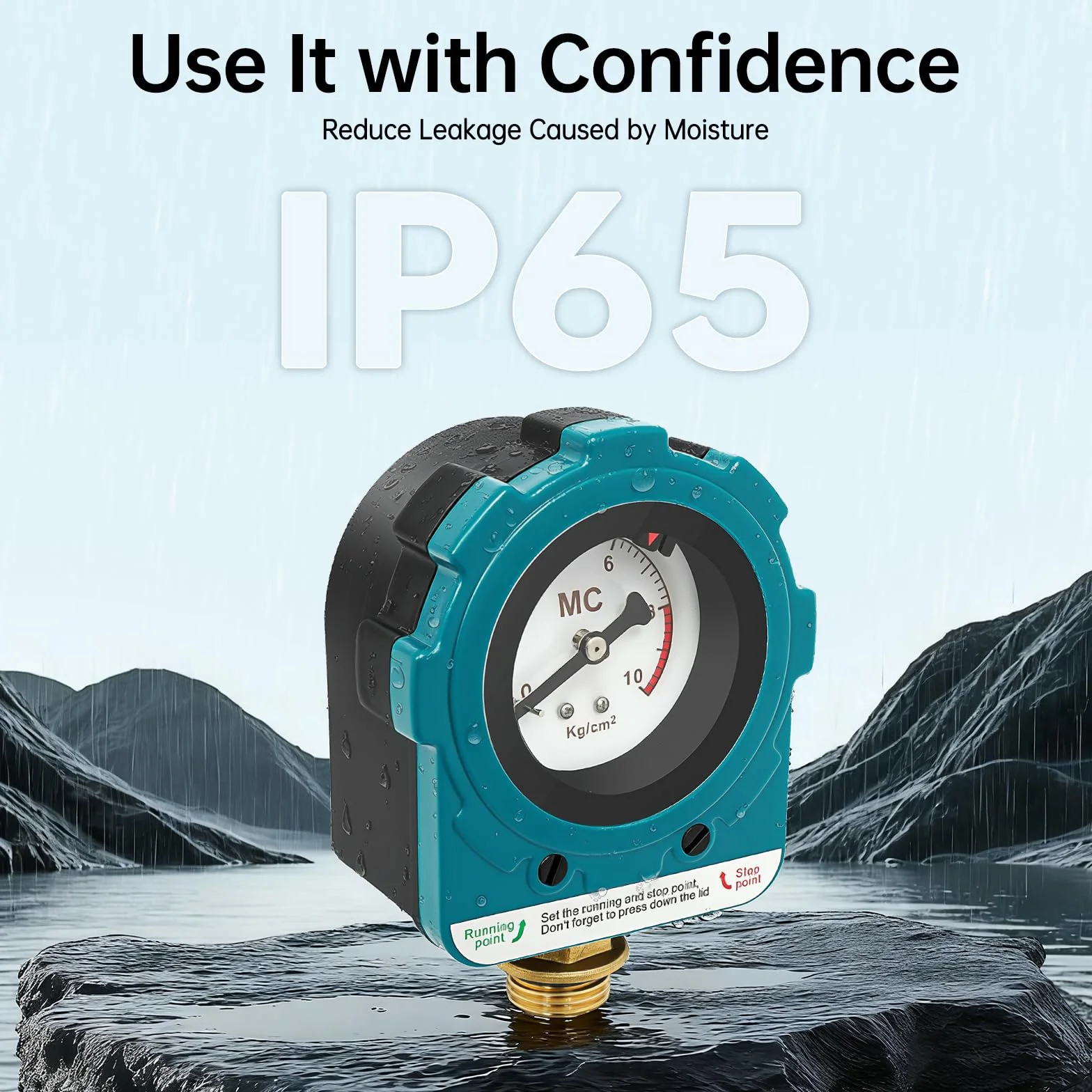 Pompa di controllo 220 V, interruttore a pressione, per impianto di acqua domestica, interruttore a pressione 0~10 bar, pompa di controllo della pompa, interruttore a pressione (blu NPT1/2")