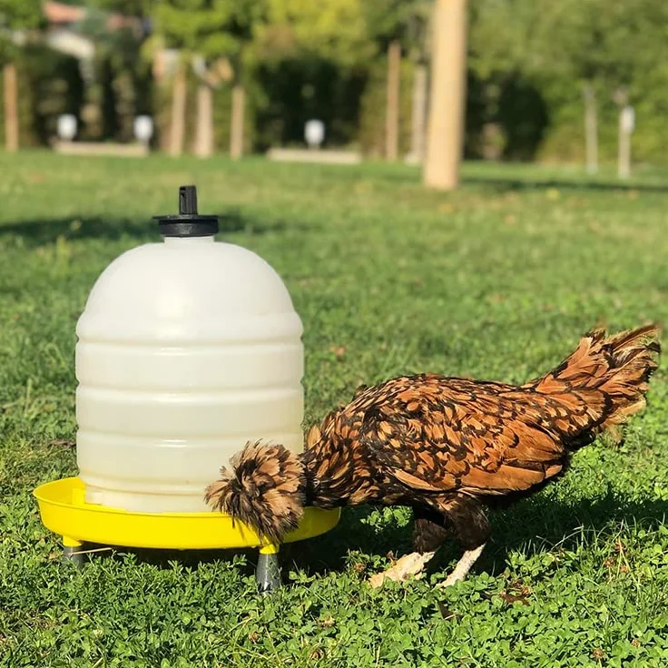Abbeveratoio a sifone 15 litri con manico-tappo e piedini