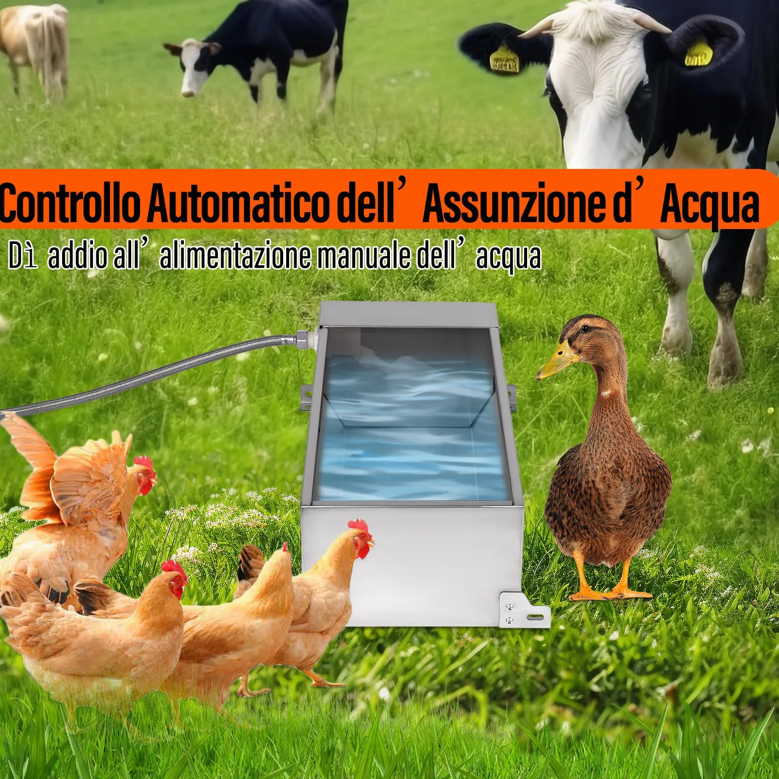 Abbeveratoio Per Cavalli in Acciaio Inox con Valvola a Galleggiante 1/2 Pollice Automatico