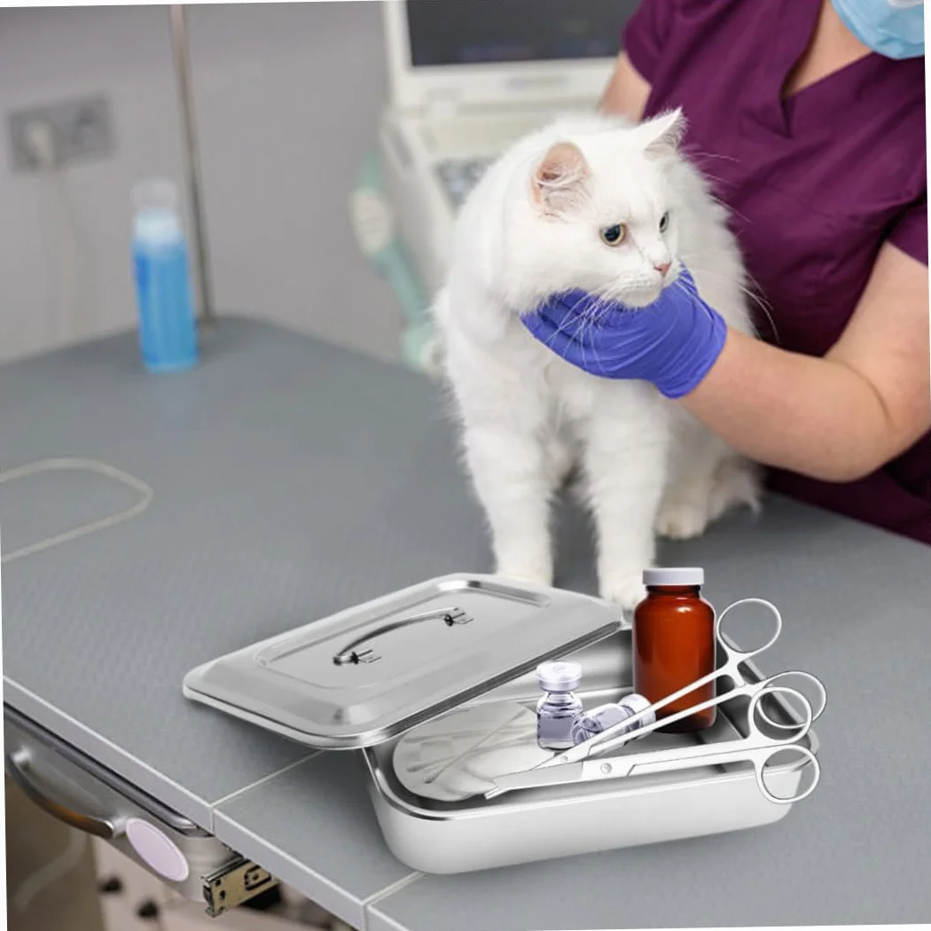 Vassoio in Acciaio Inossidabile, Organizzatore Metallico Dentale Medio con Manico