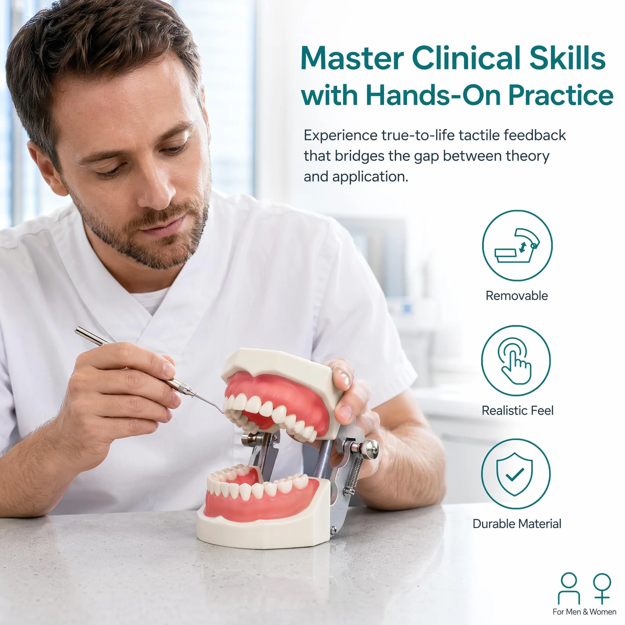 Dentale Typodont Model 28 Zębów Staccabile Strumenti Studio Didattico Articolato Anatomia Denti Rimovibili con Cacciavite
