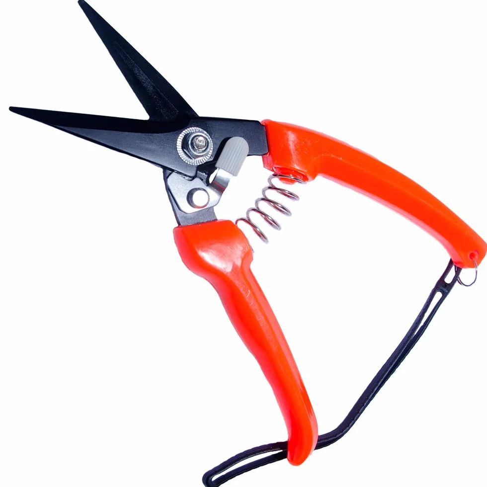 Forbici professionali per pecora e capra 20,3 cm lame dentate rosso nero