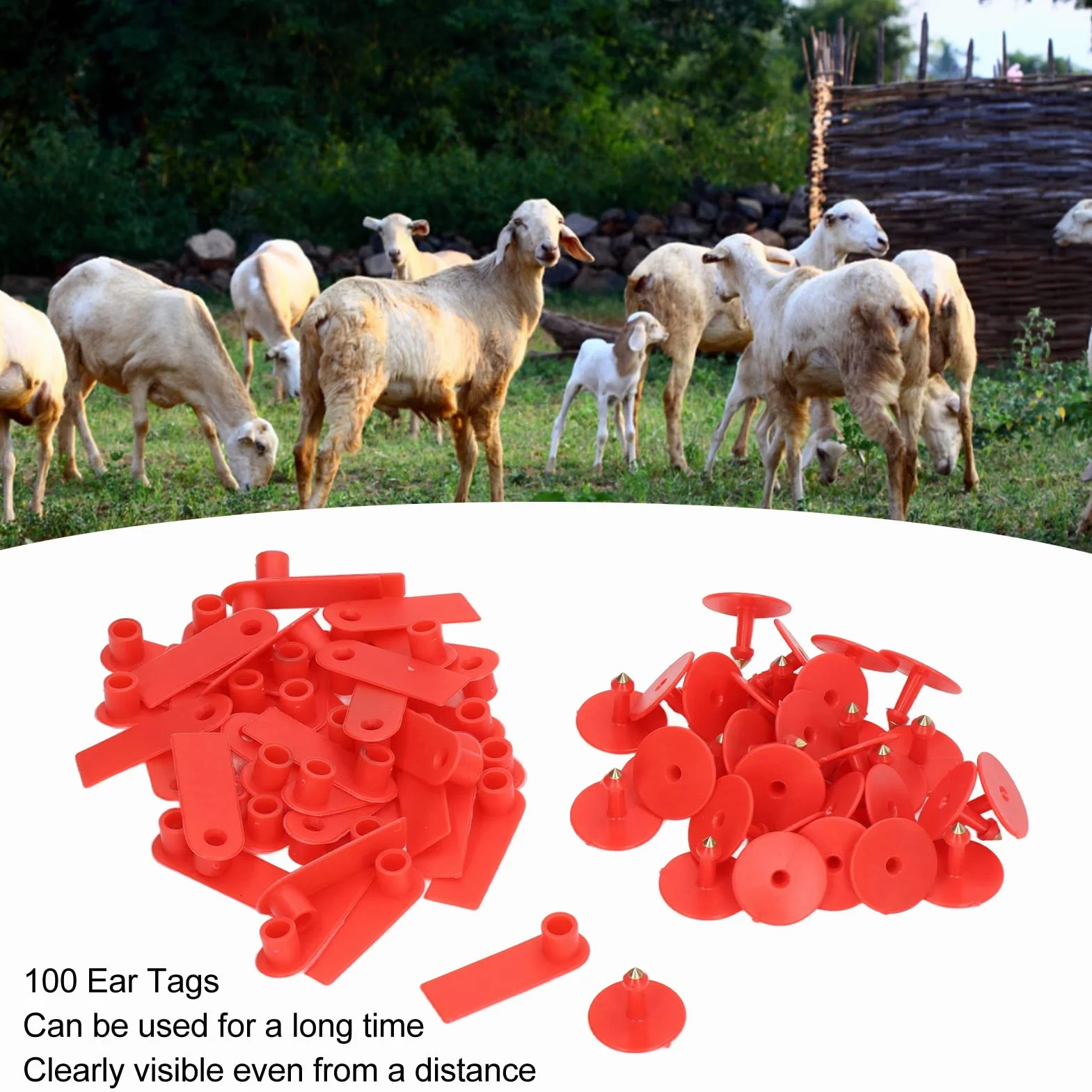 Marchi auricolari vuoti plastica rossa 100 pezzi per bestiame identificazione bovini