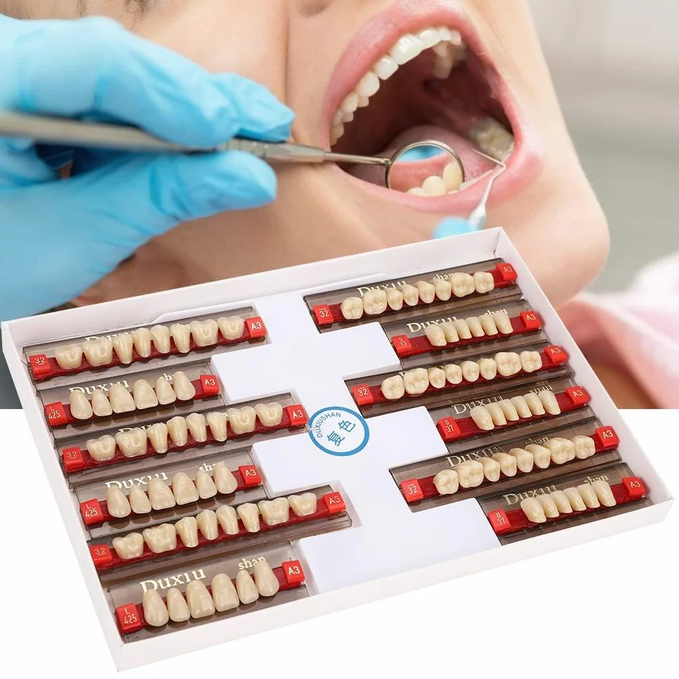Denti in Resina Sintetica Acrilica per Protesi Dentale, Modelli Dentali, Forniture per Dentisti