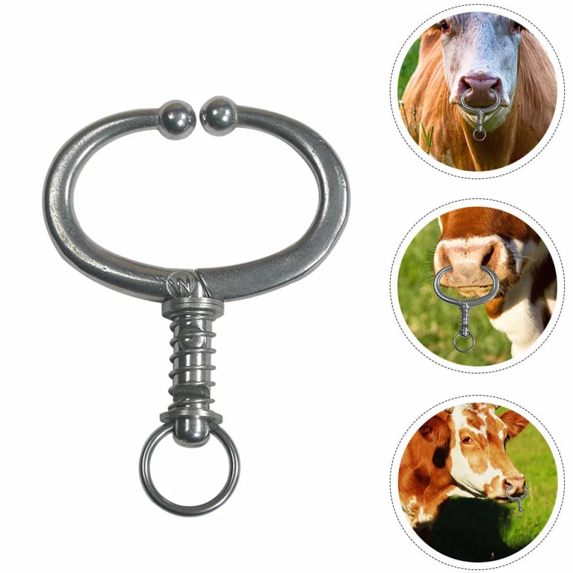 Anello Nasale in Acciaio Inox per Bovini Pinza a Becchi Spessi