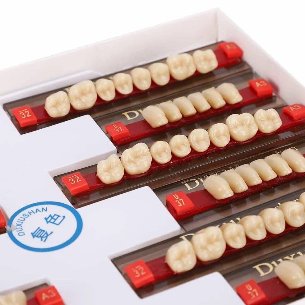Denti in Resina Sintetica Acrilica per Protesi Dentale, Modelli Dentali, Forniture per Dentisti