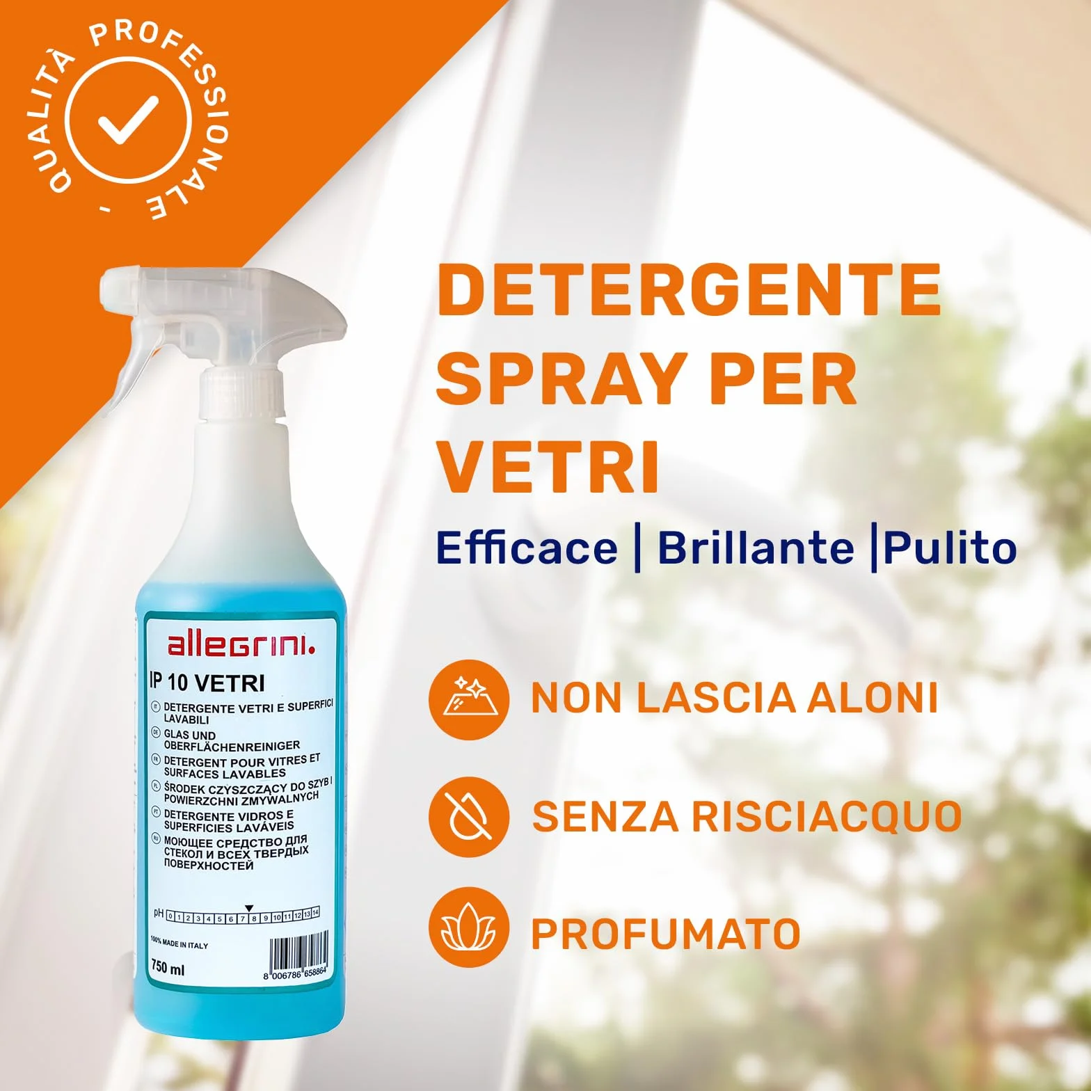 Allegrini IP 10 Spray Vetri Detersivo Pulizia Specchi Finestre Casa Detergente Vetri Auto Pulitore Multiuso 750 ml