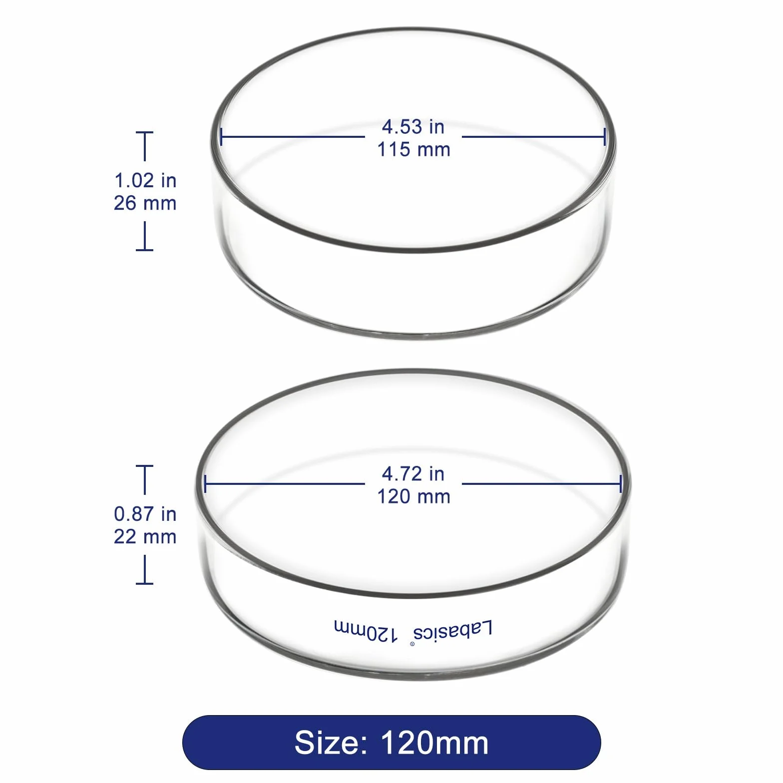 Labasics Piastra Petri con Coperchio, Vetro Borosilicato, Alta Trasparenza per Uso di Laboratorio, Ideale per Esperimenti Scientifici, Diametro 120 mm, 1 Pezzo