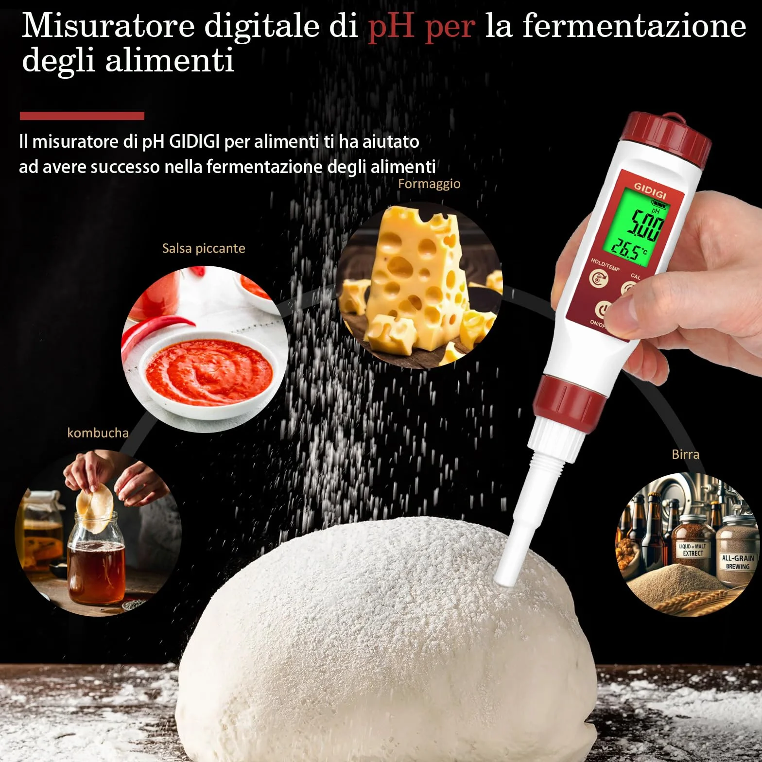 Tester di pH per alimenti GIDIGI, sonda di pH per pasta madre e pane, misuratore di pH professionale per fermentazione, formaggio, carne, inscatolamento, sonda di pH a lancia per semisolidi, acqua