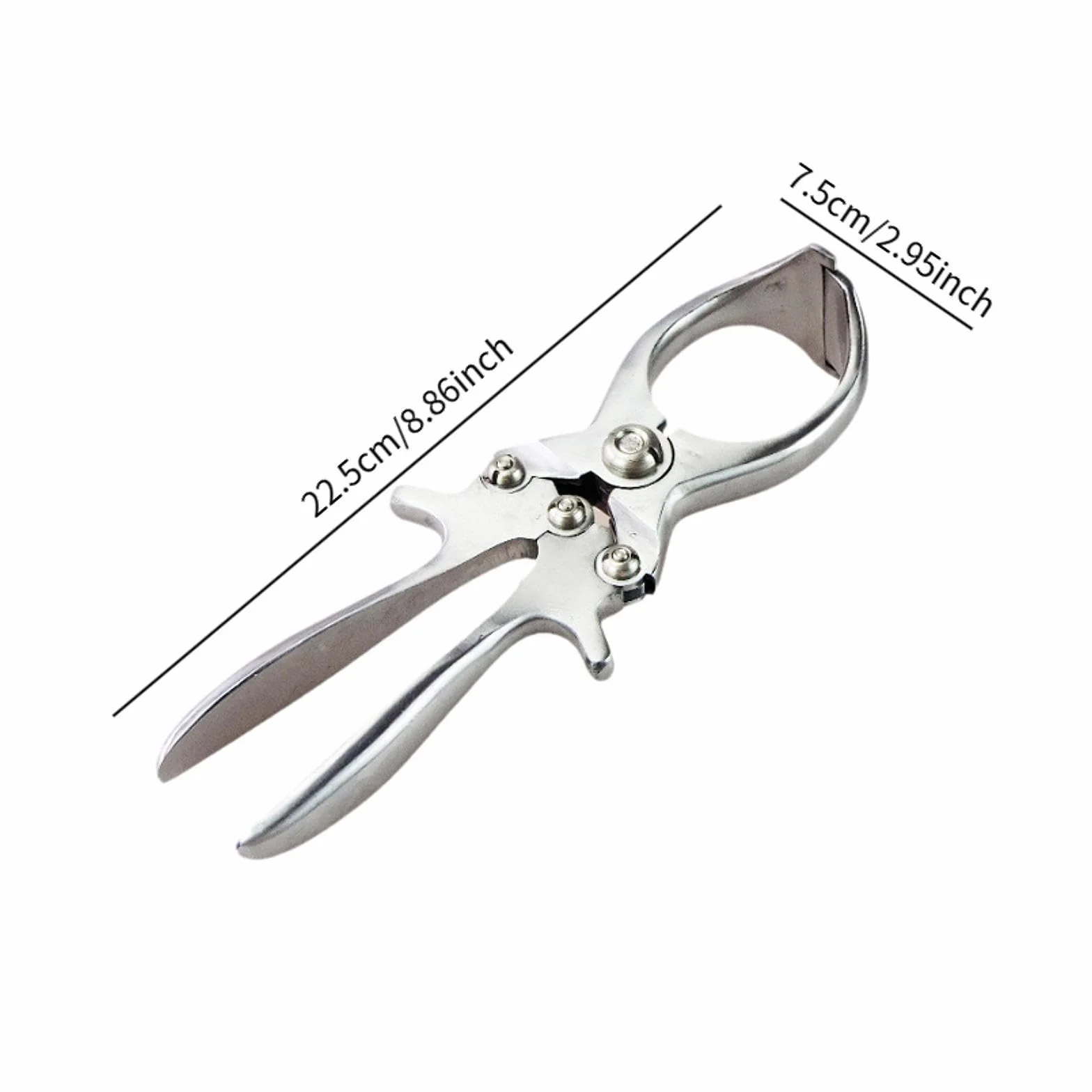 MagiDeal Pinza da castrante Castrazione acciaio inossidabile Elastratore di rimozione della coda veterinaria per bestiame per maialini di agnello