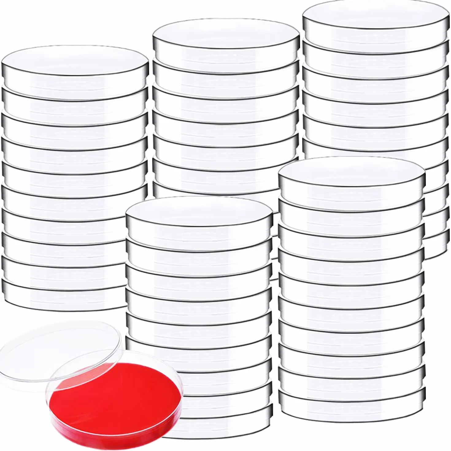 Confezione da 50 piatti Petri in plastica sterile con coperchi, 90 x 15 mm, piatti Petri sterili per progetti medici, biologici, scientifici scolastici