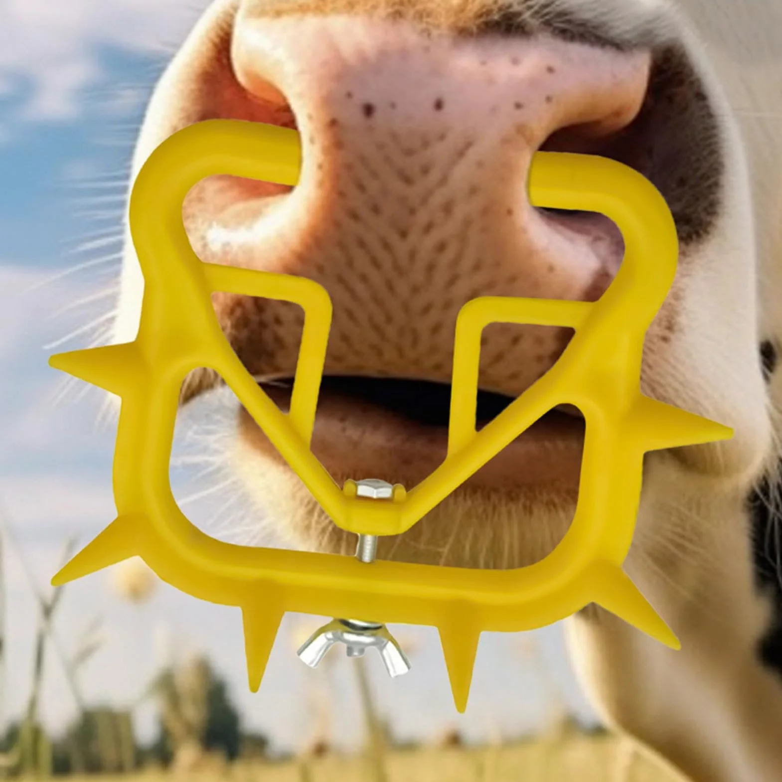 Anello al naso per lo svezzamento del vitello, svezzamento del vitello con di naso di mucca - 10 pezzi Anello per naso per bestiame Vitello Mucca Svezzatore per bestiame,Svezzamento per vitelli Quiet