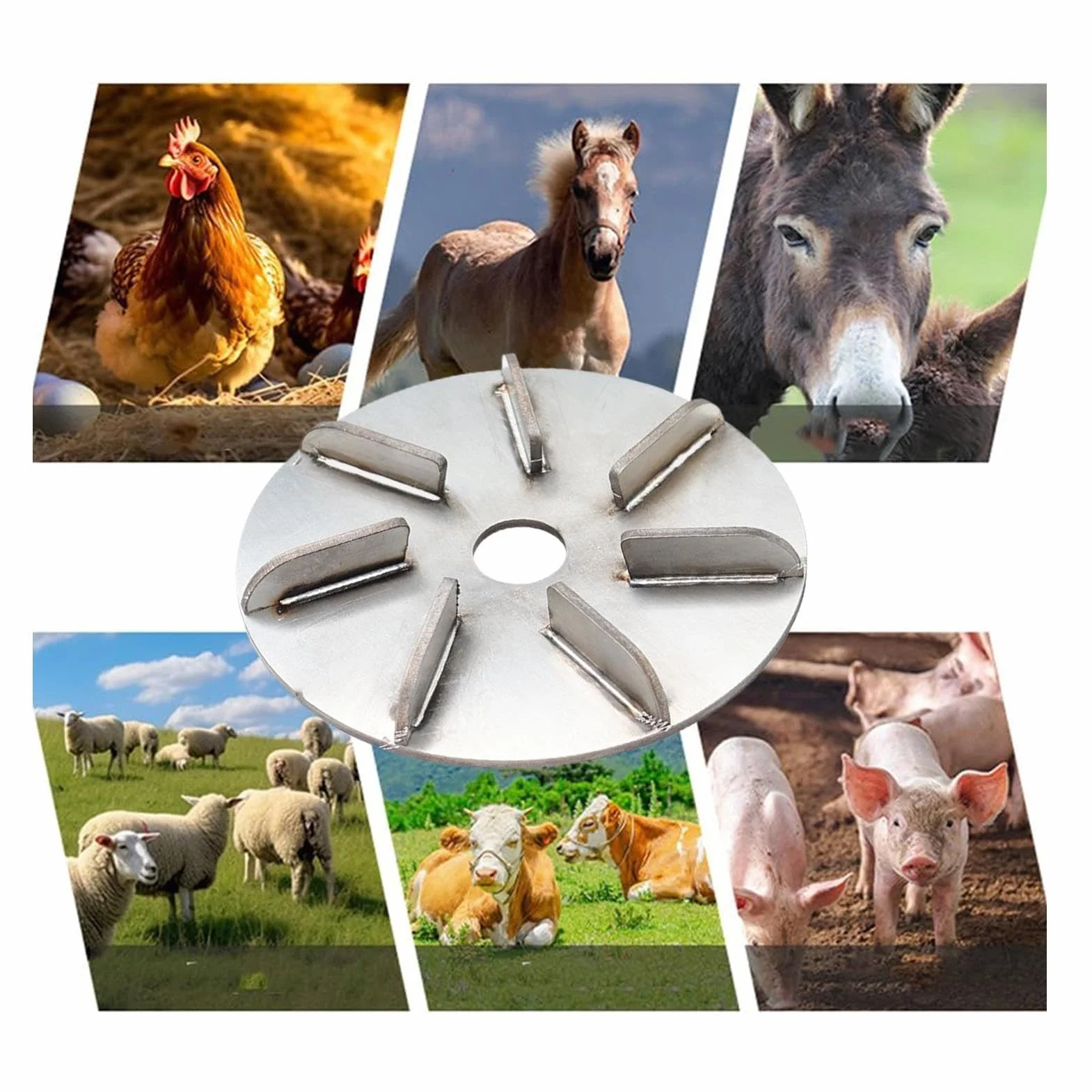 Disco raschietto per la rimozione dei dei maiali, facile da pulire, 10 cm, strumento per raschietto per suini, rimozione di maiale, leggero, per galline, galli, pollo, , pecora, pollame