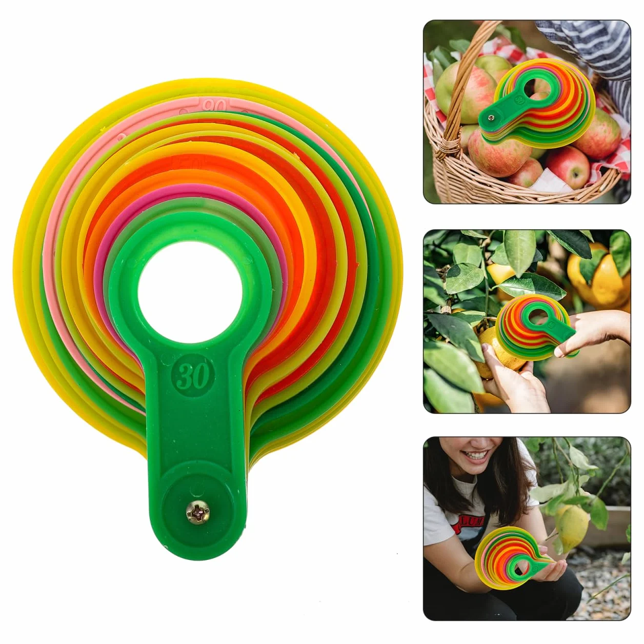 Misuratore Di Diametro Per Calibro Di Misurazione Anello Agrumi Plastica Arancione