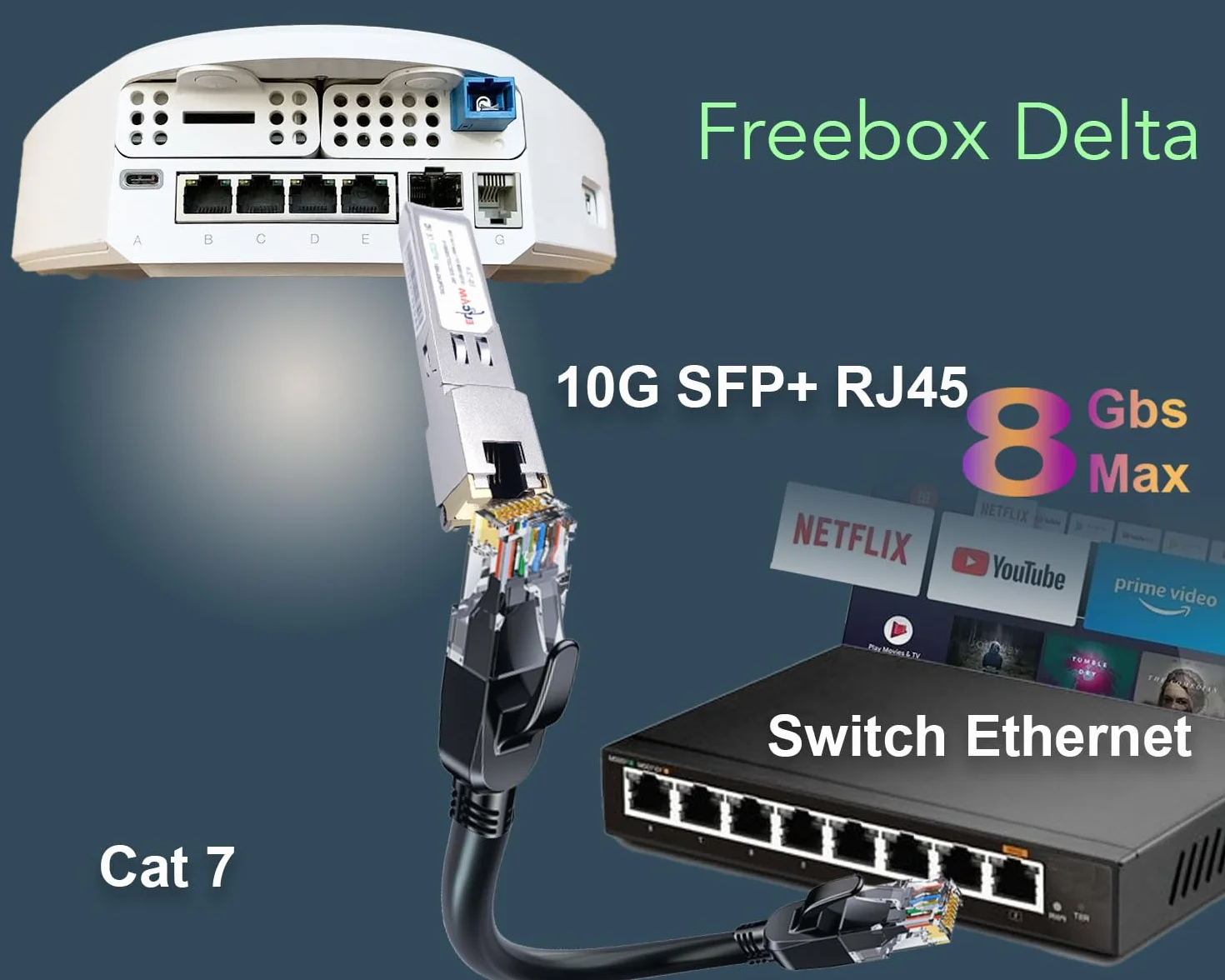 Elfcam 10Gb SFP+ RJ45 Modulo 10Gbase-T-30m con Cavo Cat8 2m per Freebox Ultra