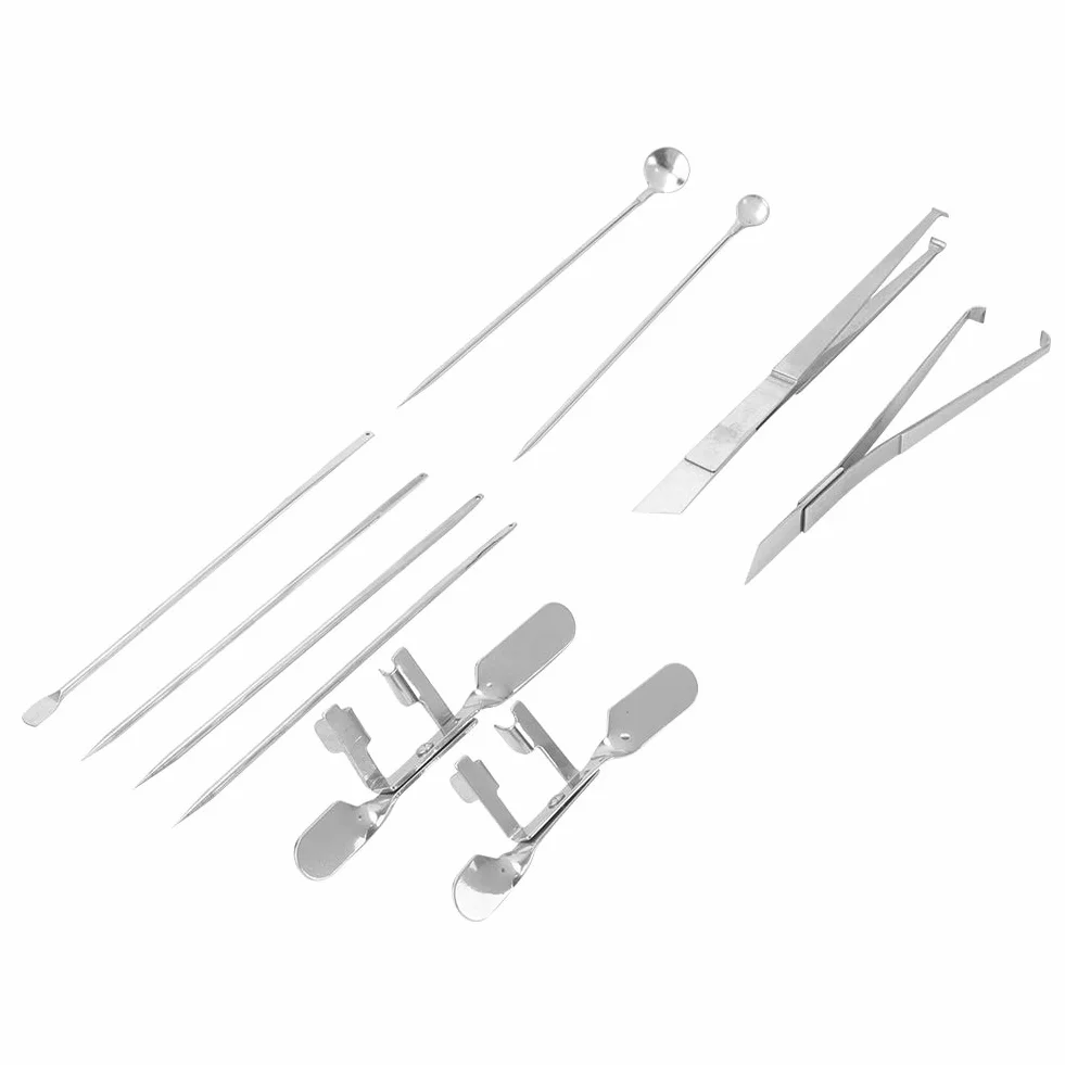 dsheng Attrezzo per Cappone di Pollo, Kit Rapido, 10 Pezzi, per Animali, Bestiame, Prodotti Sanitari per Bestiame