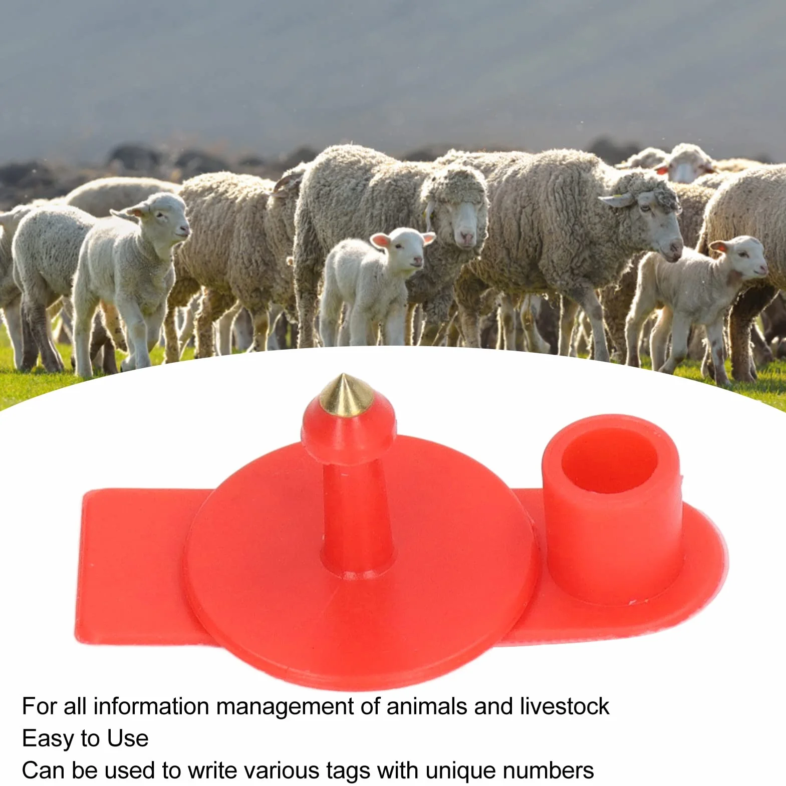Marchi auricolari vuoti plastica rossa 100 pezzi per bestiame identificazione bovini