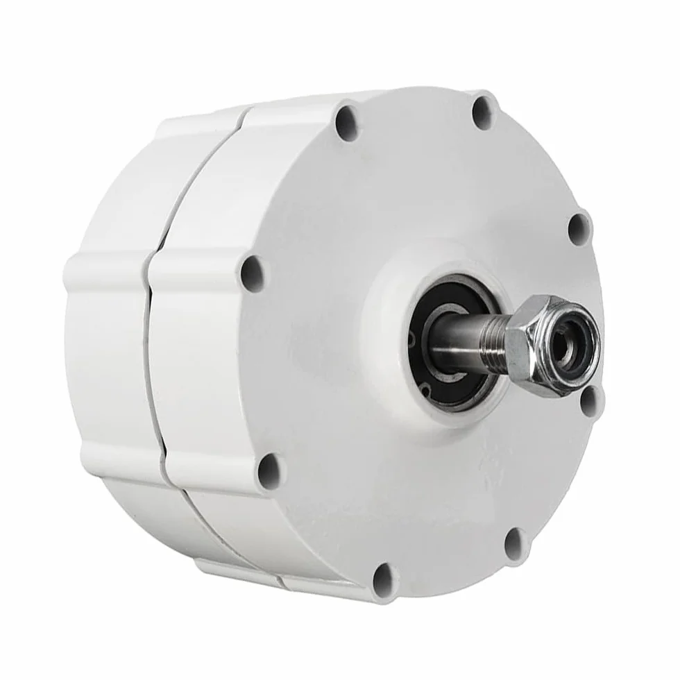 Generatore di magneti permanenti, 800 W, 12 V, 24 V, 48 V, dinamo a 3 fasi, per turbina eolica fai da te e progetti di energia libera (without-12 V)