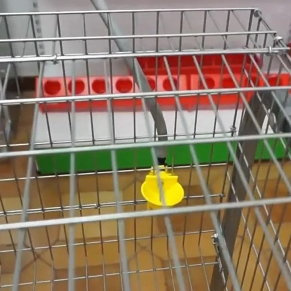 Abbeveratoio automatico per galline e perdici | Confezione da 5 | Collegamento a serbatoio d'acqua | Fissaggio in gabbia | Per pollame, polli, anatre