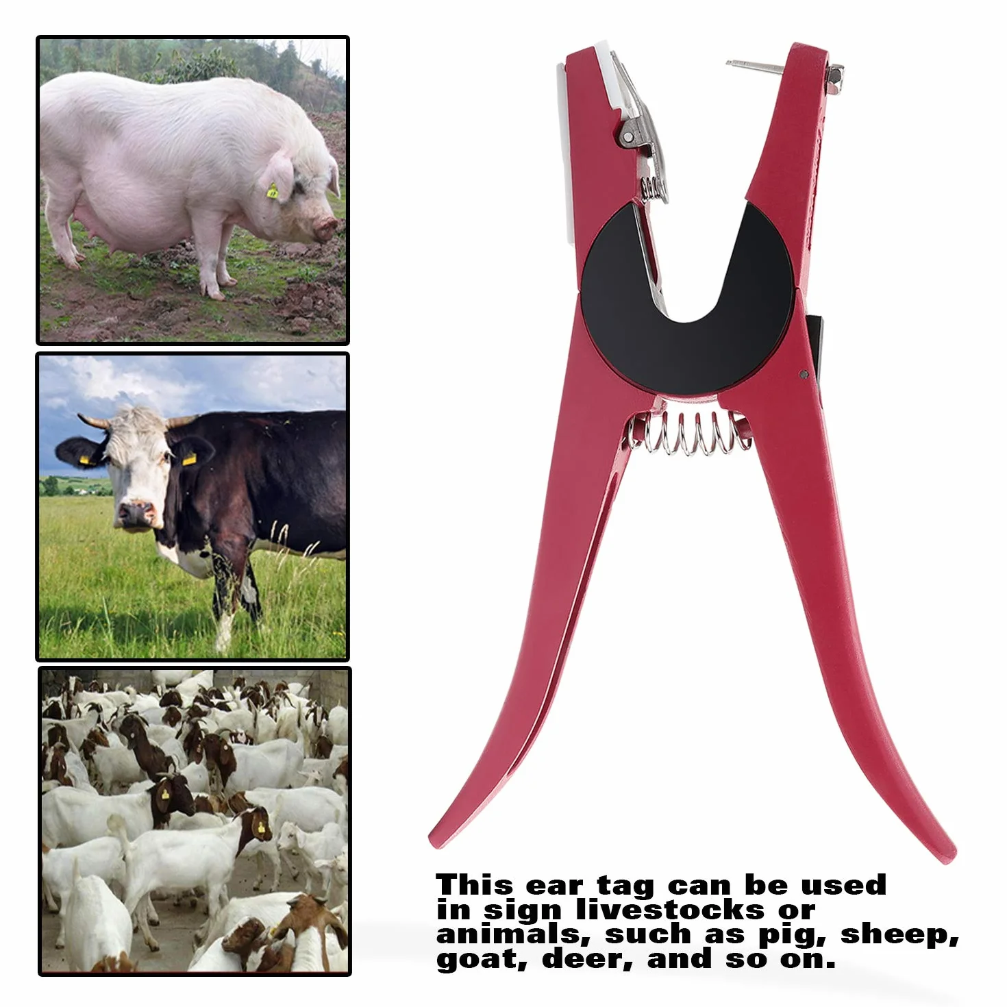 Pinze per Etichette per Animali Bestiame Animale Marchio Auricolare Pinza Applicatore per l'Installazione di Suini Bovini Pecore Orecchio Marchio Auricolare (Rosso)