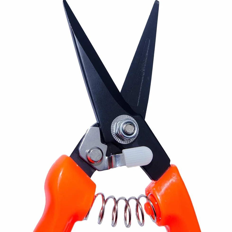 Forbici professionali per pecora e capra 20,3 cm lame dentate rosso nero