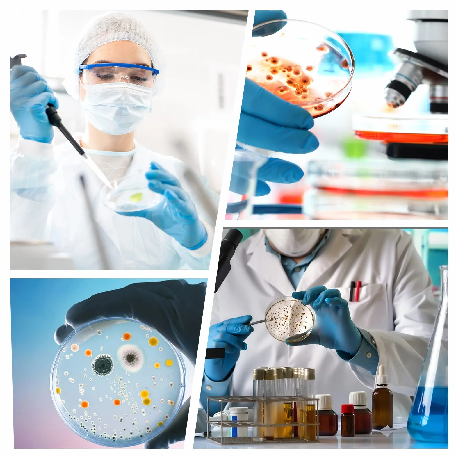 Confezione da 10 piastre Petri sterili in plastica spessa con coperchio, piastra Petri trasparente con 3 prese d'aria, diametro 90 mm x profondità 15 mm, per esperimenti scientifici di laboratorio