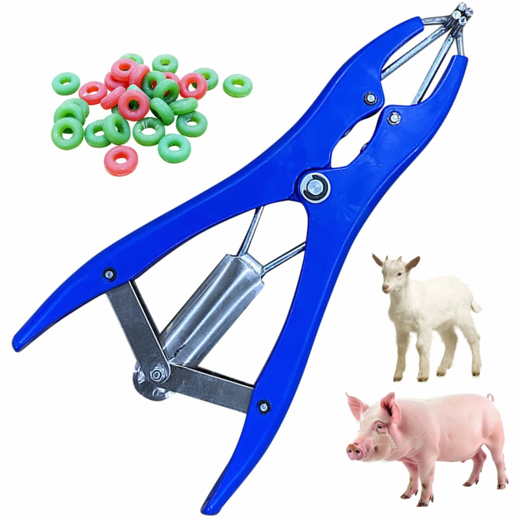 Kit per fascere per capre | Strumento per fasciare per castrazione Pinza elastica per castrazione in acciaio inossidabile con 100 anelli in gomma per suini, bovini, pecore, mucche