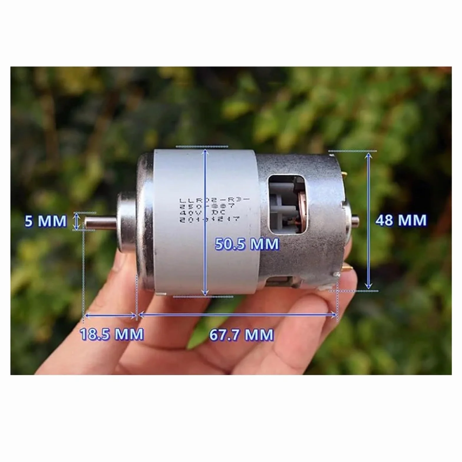 Motore RS-887 da 48 mm DC 36 V-40 V 18500 giri/min con doppio cuscinetto a sfere ad alta velocità