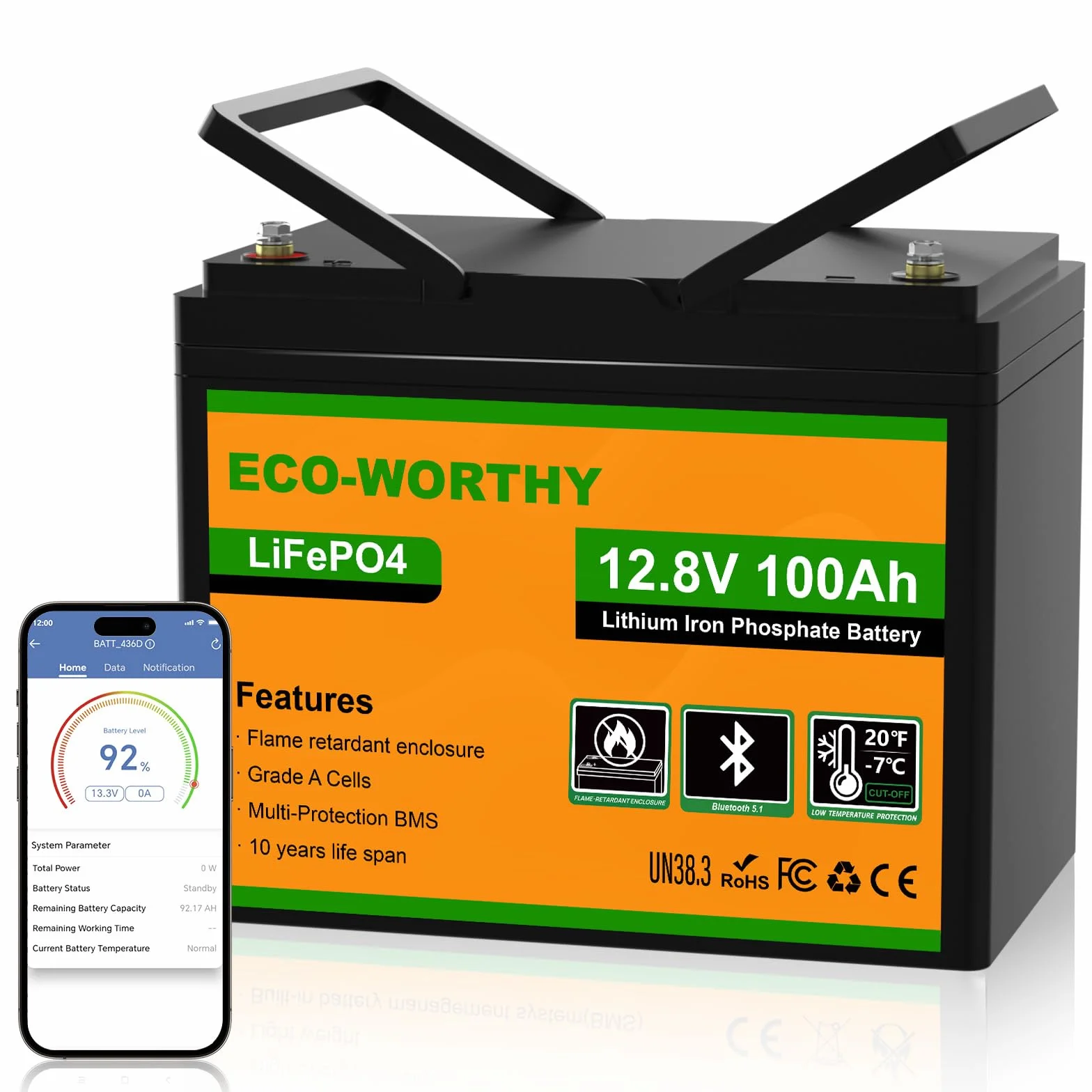ECO-WORTHY LiFePO4 100 Ah Bluetooth, Batteria al Litio 12 V 100 Ah con Protezione BMS a Bassa Temperatura e max. 15000 Cicli, Batteria da 1280 Wh per Camper, Pannello Solare, Barca