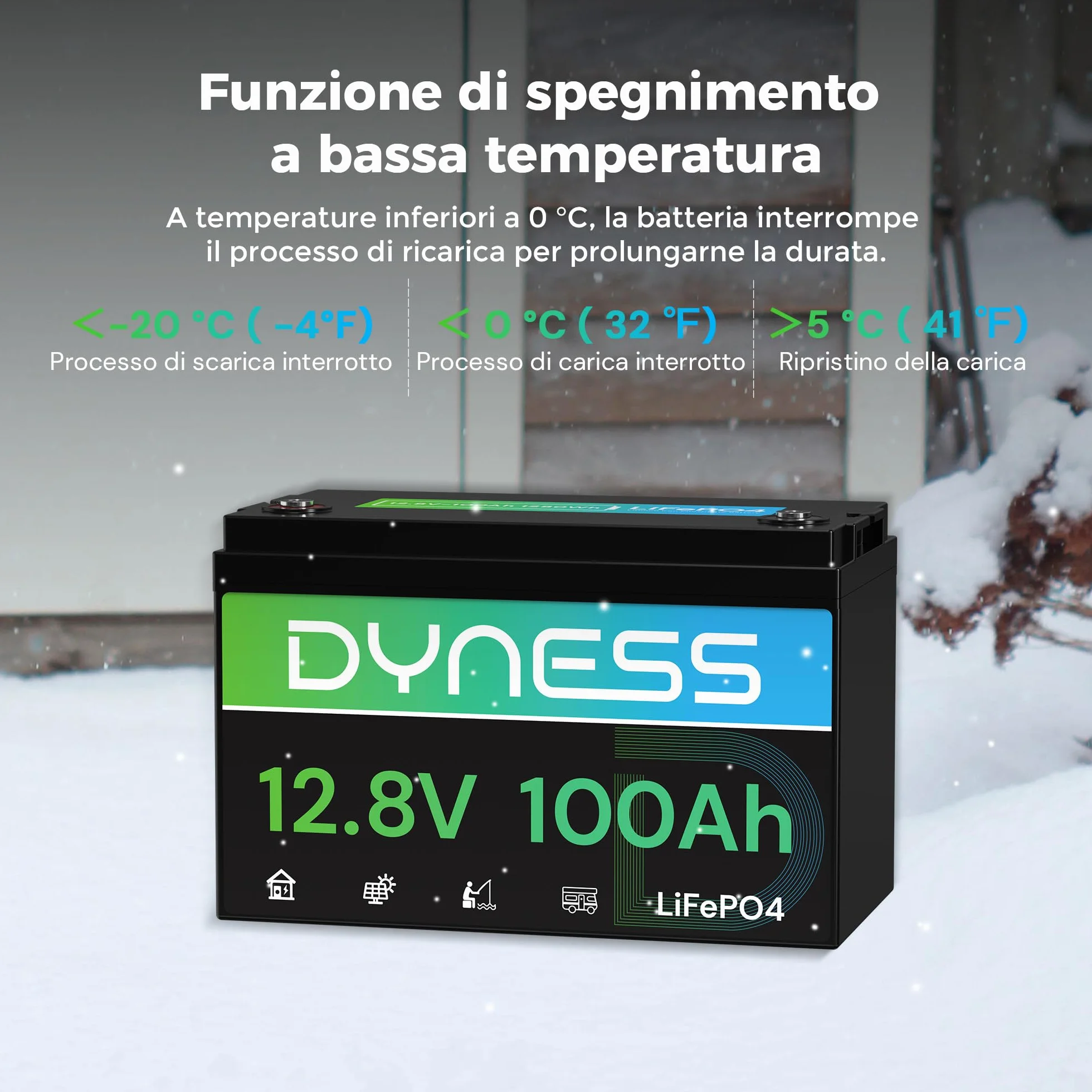 Dyness Batteria Litio 12V 100Ah LiFePO4 a Ciclo profondo con 100A BMS, Protezione Dalle Basse Temperature, Max. 15000 cicli, per Camper, Impianti Solari off-grid, Fotovoltaico Accumulo