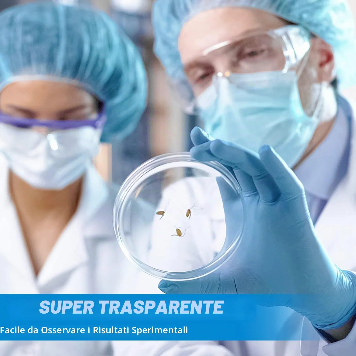 Petri Dishes 55mm x 13mm Sterile Piastra Petri in Plastica Trasparente 40 Pezzi con Contagocce