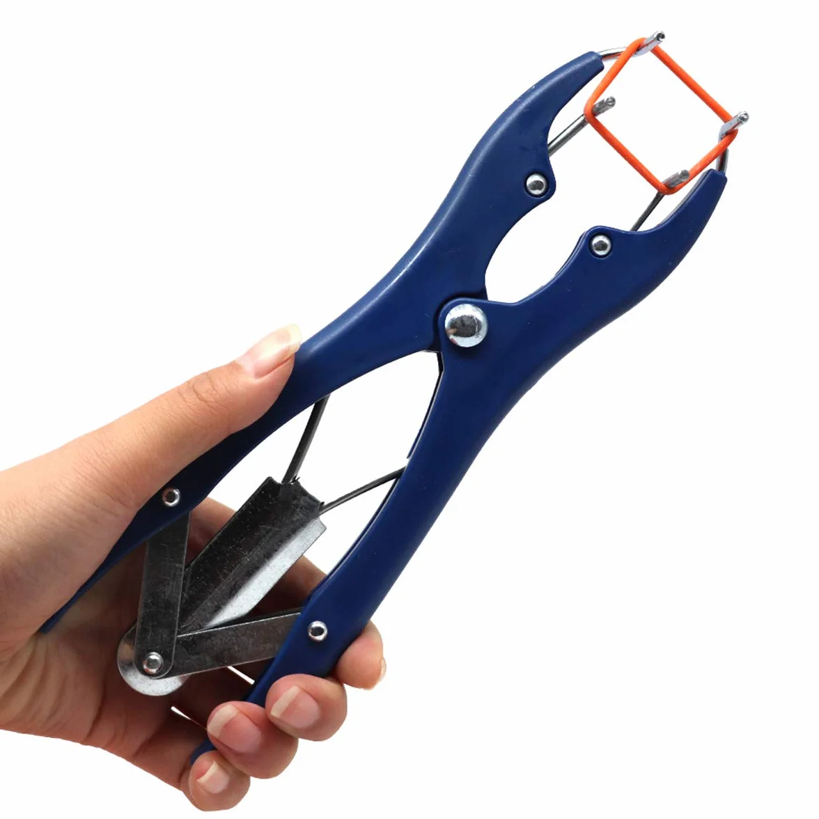 Pinza per Castrazione per Maiale Elastratore con Clamp e Banda - Kit Metallo 100 Anelli di Gomma