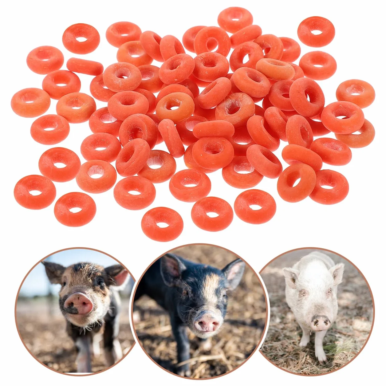 Elastici Per Castrare Capre Bande Agricole Anelli Gomma Applicatore 100 Pezzi
