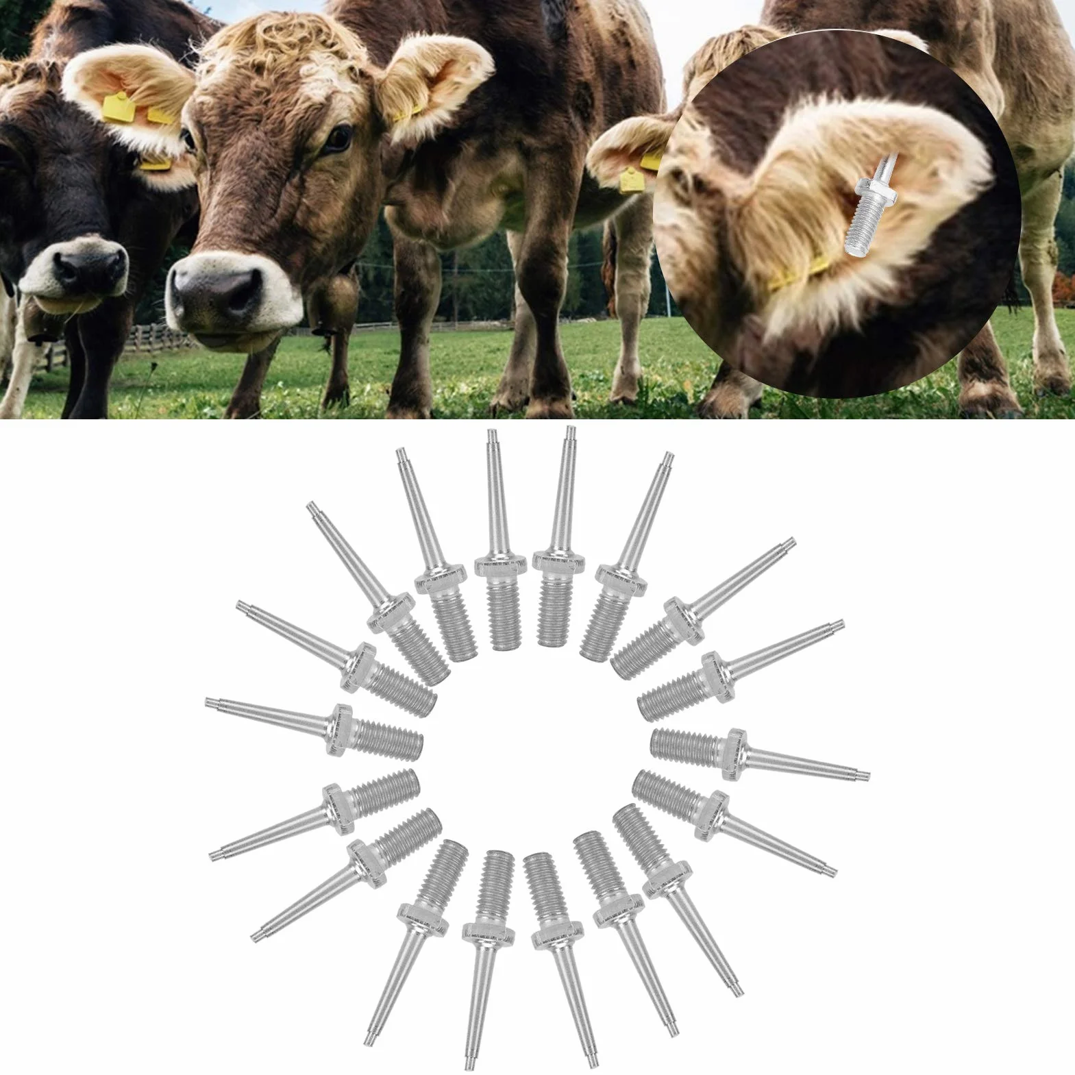 Voluxe Pin di Ricambio per pinze per Marchi Auricolari Animali, Perno per Marchio Auricolare per Bestiame, Perno per suini bovini Ovini per bovini(Stainless Steel Ear Tag Needle)