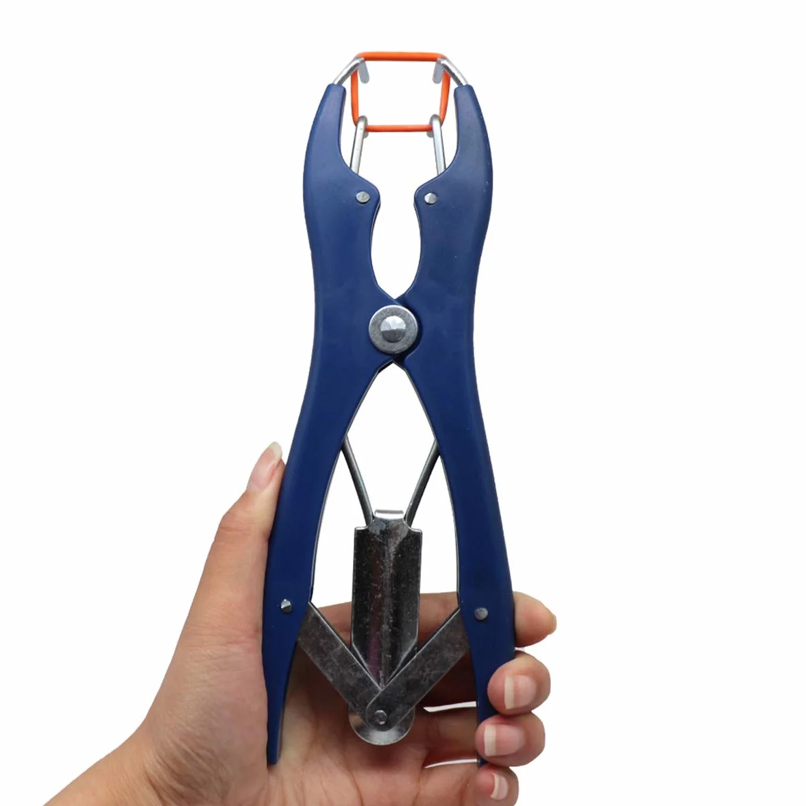 Pinza per Castrazione per Maiale Elastratore con Clamp e Banda - Kit Metallo 100 Anelli di Gomma