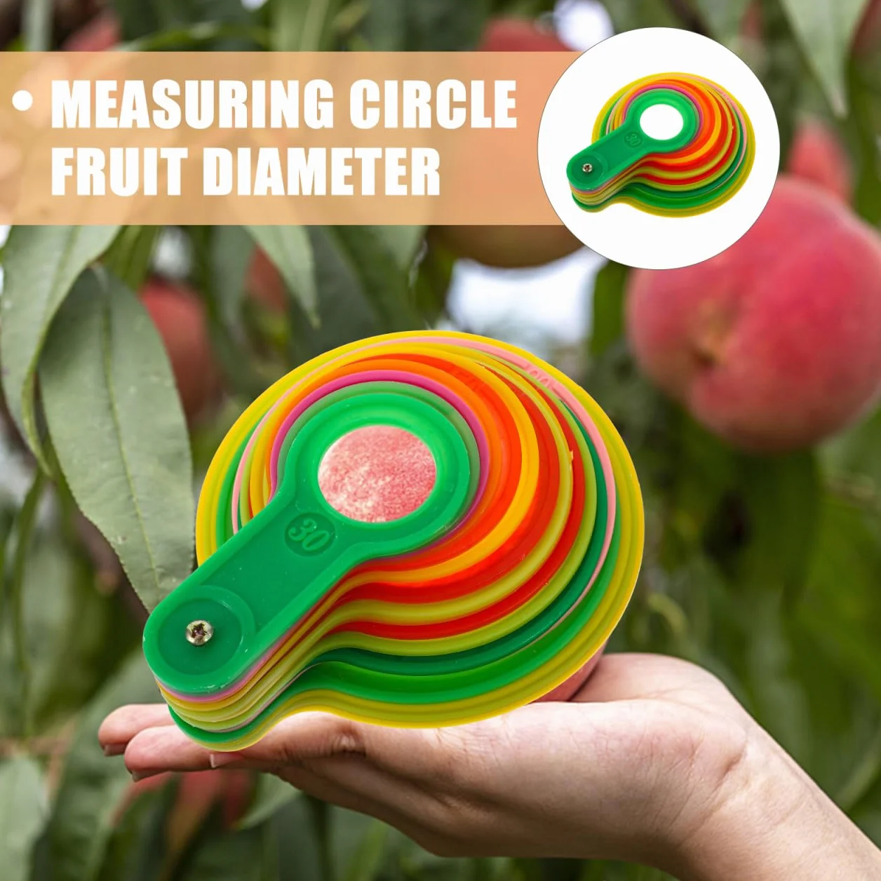 Misuratore Di Diametro Per Calibro Di Misurazione Anello Agrumi Plastica Arancione