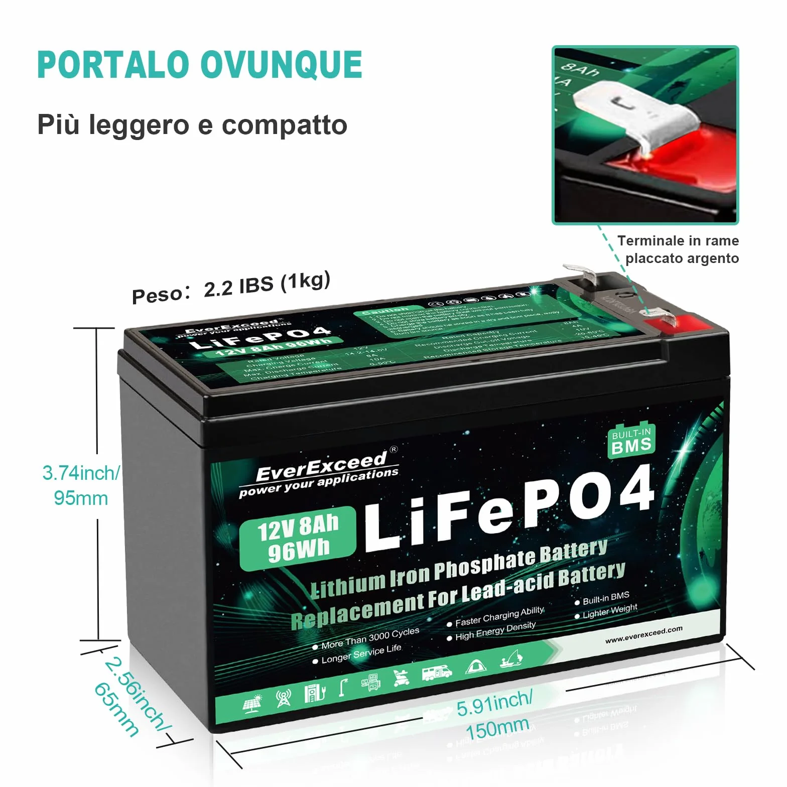 Batteria Lifepo4 da 12V 8 Ah con Oltre 3000 Cicli di Scarica Profonda Batteria Litio da 12 V per Energia Solare/Eolica, illuminazione, Pesce Rilevatore e Altro, con BMS da 10 A integrato