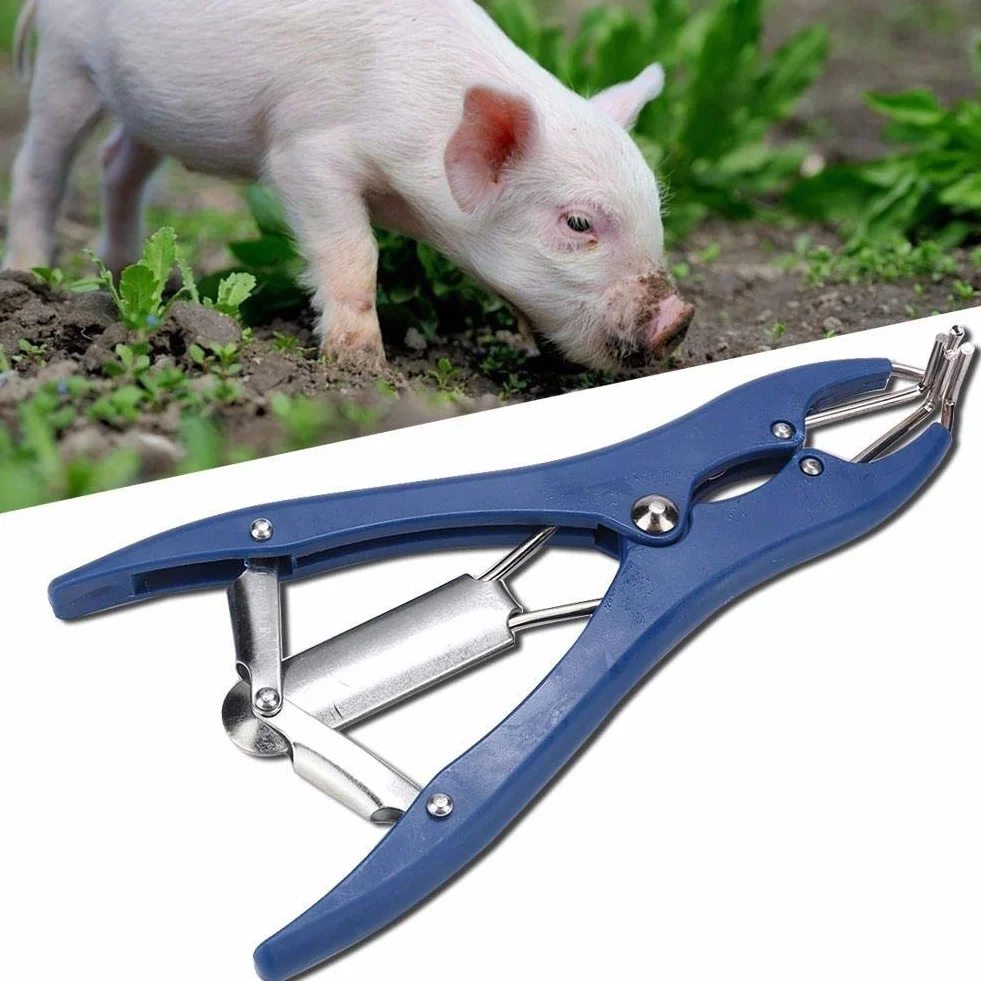 KSTE Pinze di Castrazione Veterinaria Strumento Chirurgico per Animali con 100 Anelli in Gomma