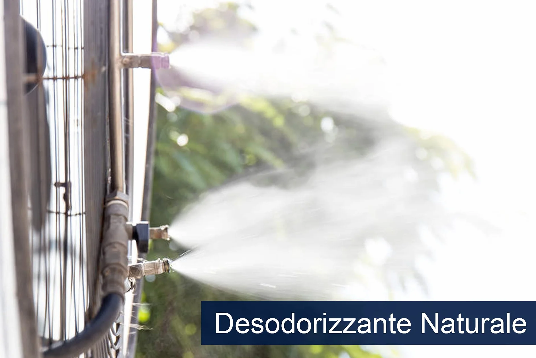 PIP Detergente Elimina Odori Deosan, Desodorizzante Naturale, Assorbiodori Professionale, Profumambiente, Naturale Mangiaodori, Ottimo nei Nebulizzatori, Flacone + Vaporizzatore