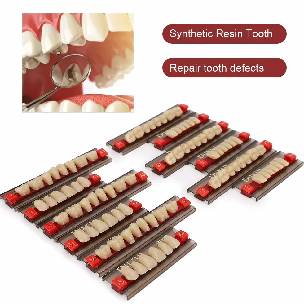Denti in Resina Sintetica Acrilica per Protesi Dentale, Modelli Dentali, Forniture per Dentisti