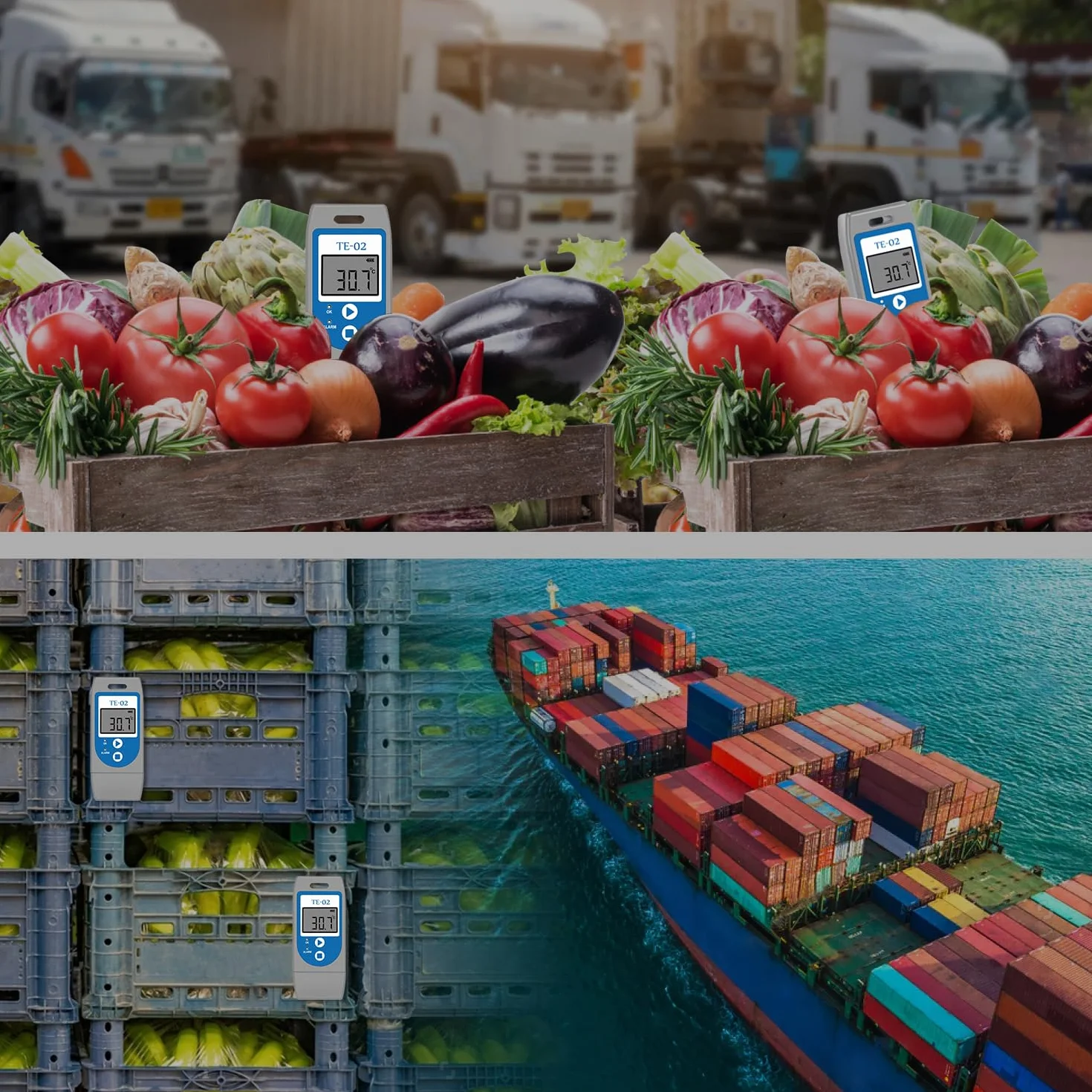 ThermElc TE‑02 Data Logger Registratore Di Temperatura con Certificato Di Calibrazione PDF CSV