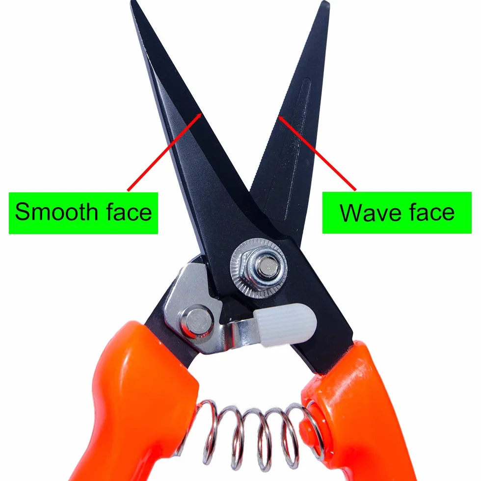 Forbici professionali per pecora e capra 20,3 cm lame dentate rosso nero