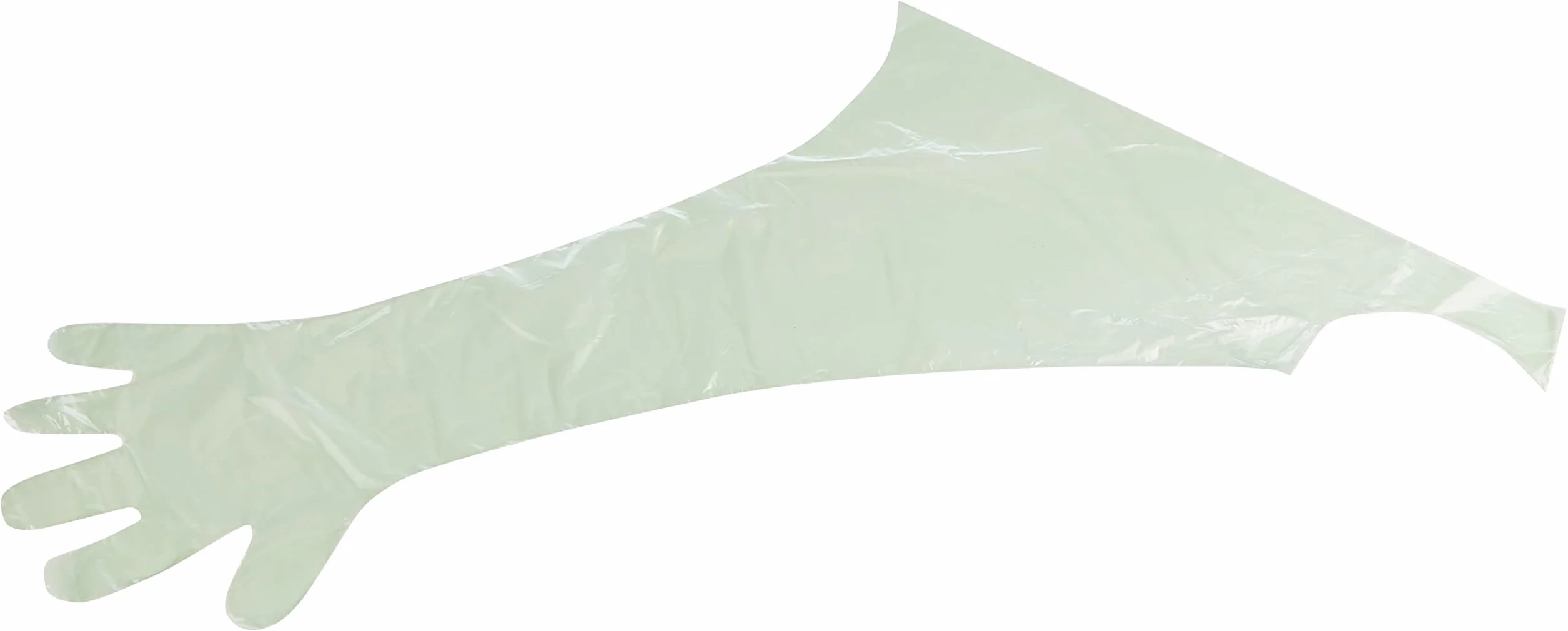 Teqler Guanti veterinari protezione spalle, verde, trasparente, 50 pezzi