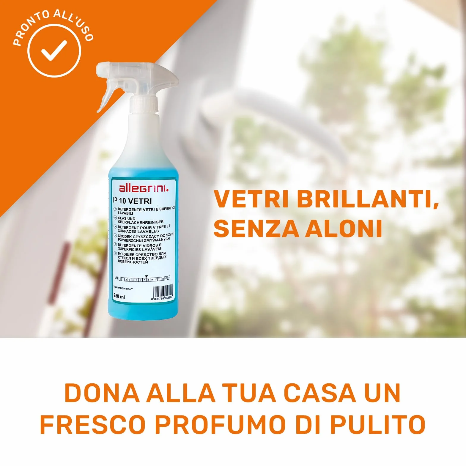 Allegrini IP 10 Spray Vetri Detersivo Pulizia Specchi Finestre Casa Detergente Vetri Auto Pulitore Multiuso 750 ml
