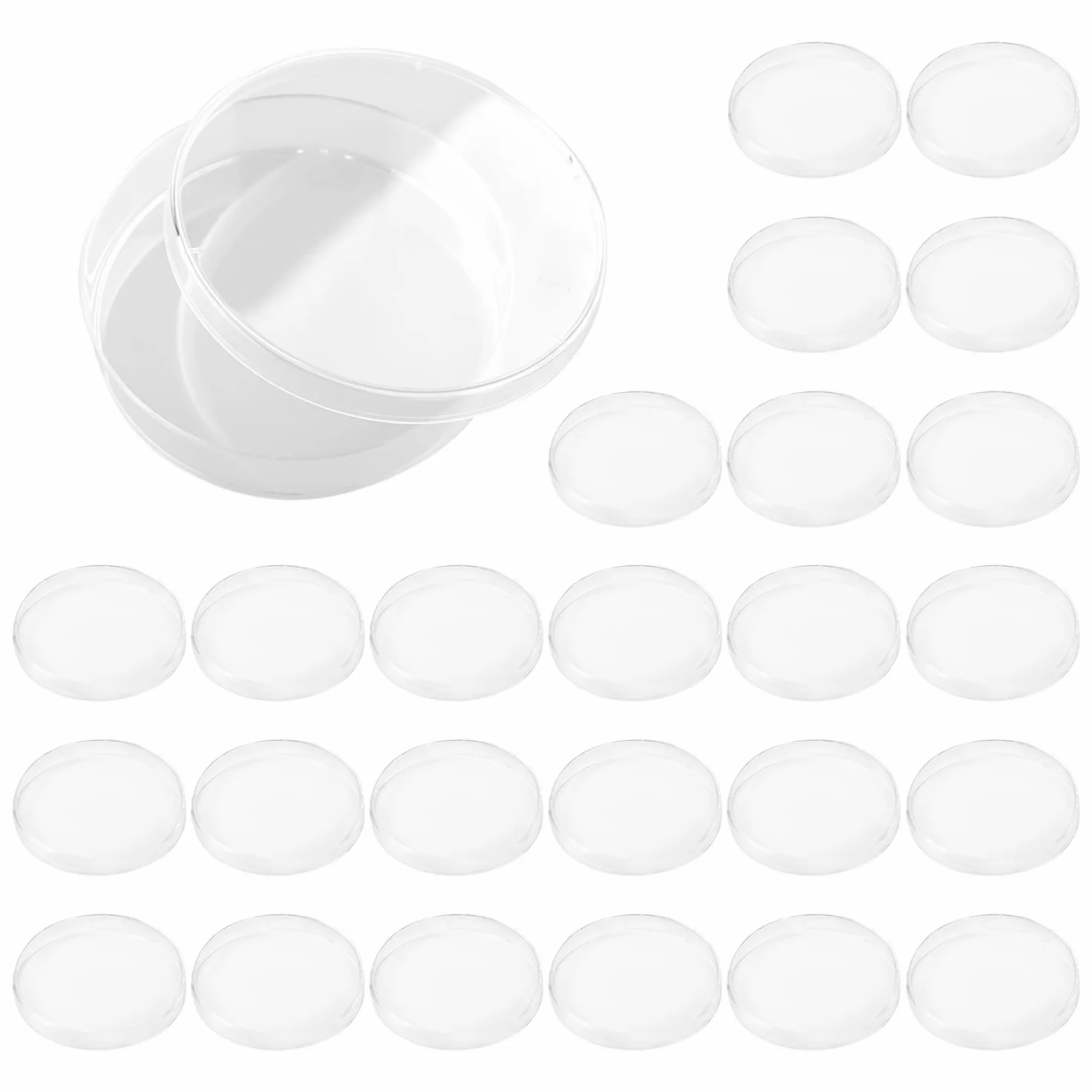 Piastre Di Petri In Plastica Da 25 Pezzi, Piastre Di Petri Specifiche Per Laboratorio, Scatole Sperimentali Rotonde Trasparenti Con Coperchio, Adatte Per Colture Cellulari E Colture Batteriche.