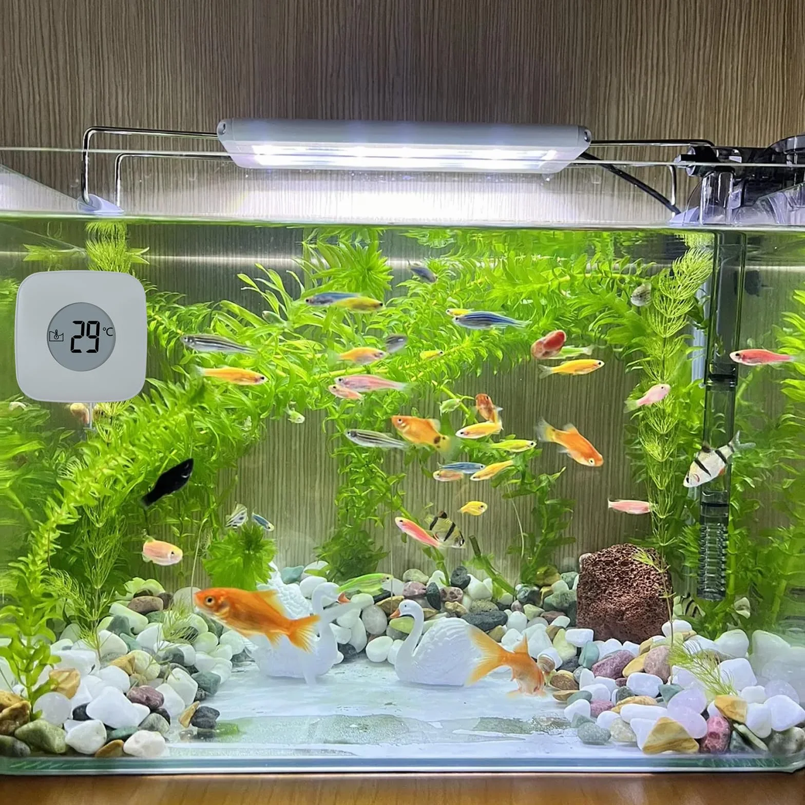 Spazzola magnetica per acquario, detergente vetri con indicatore temperatura, rimozione alghe piscina