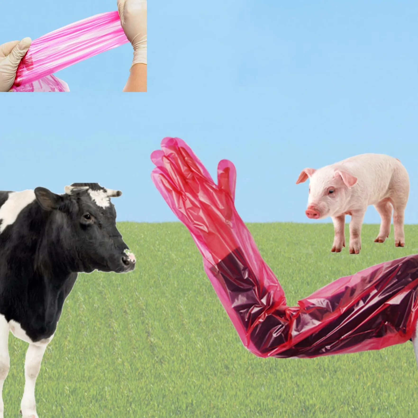 Guanti Veterinari Usa e Getta 40PC, Elastici in Pellicola di Plastica Morbida, Protezione Braccio Rosso