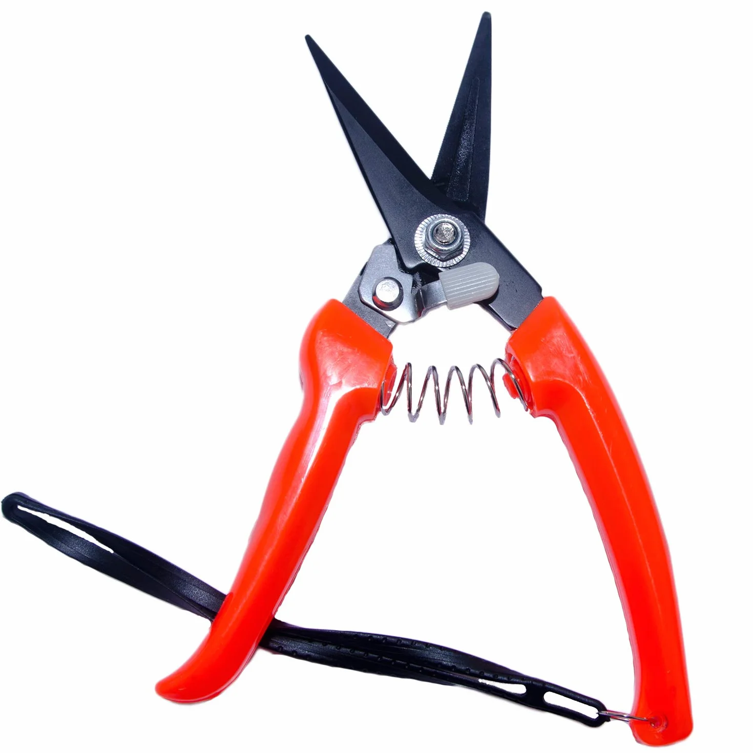 Forbici professionali per pecora e capra 20,3 cm lame dentate rosso nero